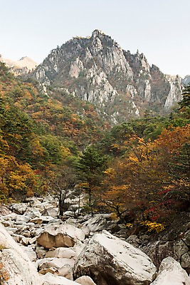 포토 JPG 주간 단풍 자연 단풍나무 풍경 사람없음 야외 가을 바위 설악산 국내포토 자연요소 나무 계절 잎 산 돌_바위 생태계 인제 파일형식