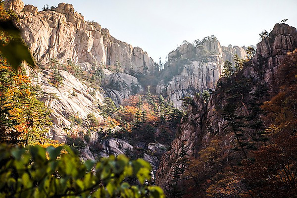 포토 JPG 주간 자연 풍경 사람없음 야외 가을 바위 설악산 국내포토 자연요소 계절 산 돌_바위 생태계 인제 파일형식