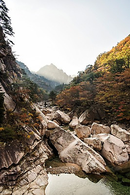 포토 JPG 주간 단풍 자연 풍경 사람없음 야외 계곡 가을 바위 설악산 국내포토 자연요소 계절 잎 산 돌_바위 생태계 인제 파일형식