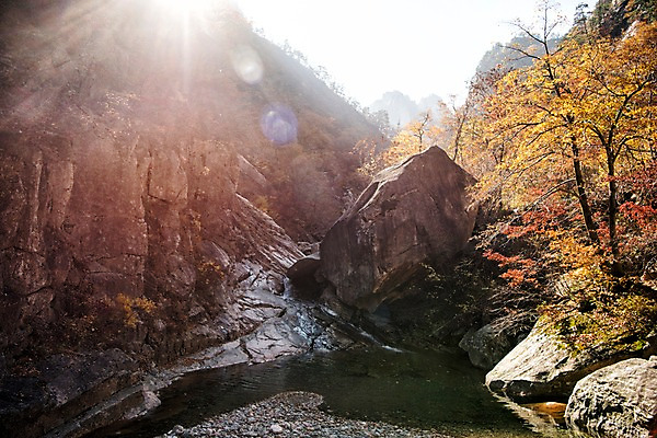 포토 JPG 주간 단풍 자연 풍경 사람없음 야외 햇빛 계곡 가을 바위 설악산 국내포토 자연요소 계절 잎 산 태양 돌_바위 생태계 인제 파일형식