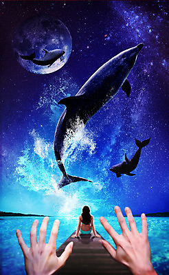 PSD 편집이미지 손 여자 바다 정보기술 스마트라이프 앉기 두명 뒷모습 신체부위 스마트기기 디지털 달 체험 야간 돌고래 가상현실 VR기기 이미지편집 자연요소 라이프스타일 뷰포인트 컨셉 포유류 모션 기술 사람 전자제품 수중동물 기계 파일형식