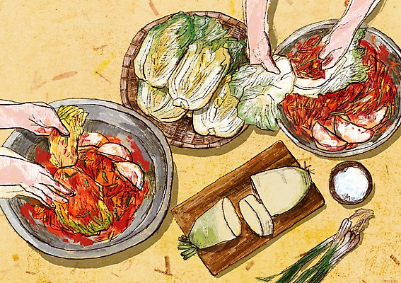 PSD 손 백그라운드 일러스트 도마 두명 신체부위 소쿠리 무 배추 소금 발효 배추김치 김장 대야 발효음식 쪽파 포기김치 국내일러스트 음식 채소 주방용품 김치 뿌리채소 사람 바구니 파 파일형식