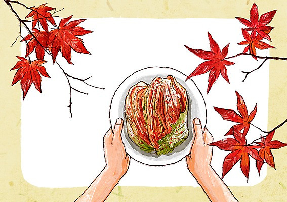 PSD 접시 손 백그라운드 단풍 일러스트 단풍나무 한명 들기 신체부위 나뭇가지 발효 배추김치 발효음식 포기김치 프레임일러스트 국내일러스트 나무 1 식기 음식 잎 모션 김치 프레임 사람 파일형식