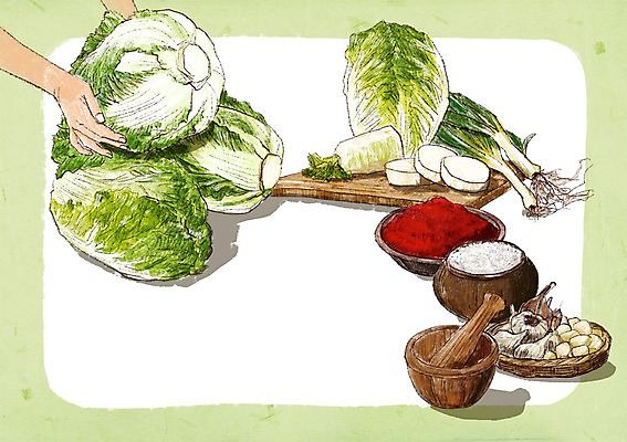 PSD 백그라운드 일러스트 김치 도마 마늘 사람없음 소쿠리 무 배추 준비 소금 절구 김장 대파 고춧가루 김장재료 프레임일러스트 국내일러스트 한식 채소 식재료 주방용품 뿌리채소 프레임 바구니 도구 가루 파 파일형식