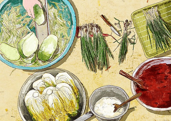 PSD 손 백그라운드 일러스트 한명 신체부위 칼 무 배추 김장 쪽파 고춧가루 나무주걱 무채 찹쌀 채칼 국내일러스트 1 채소 뿌리채소 사람 목재 쌀 가루 주걱 파 파일형식