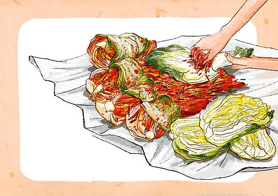 PSD 손 백그라운드 일러스트 한명 신체부위 배추 발효 배추김치 김장 비닐 발효음식 김장재료 프레임일러스트 국내일러스트 1 음식 채소 식재료 재질 김치 프레임 사람 파일형식