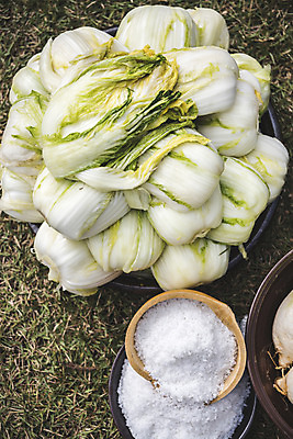 포토 JPG 주간 사람없음 야외 여러개 배추 소금 절임배추 국내포토 자연요소 다수 채소 식재료 파일형식