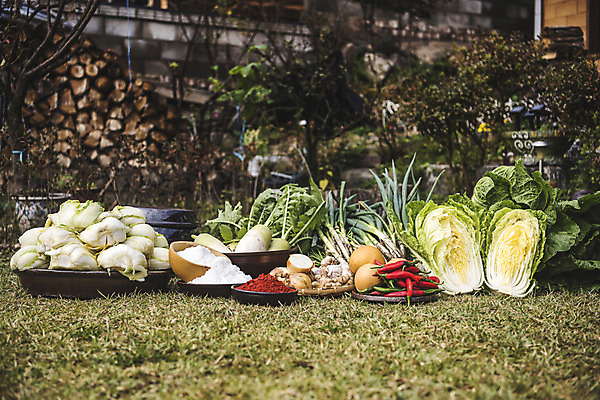 포토 JPG 주간 식재료 고추 사람없음 야외 여러개 배 무 배추 소금 김장 파 고춧가루 김장재료 마당극 절임배추 국내포토 자연요소 다수 채소 과일 뿌리채소 가루 파일형식