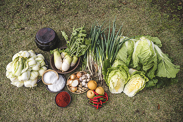 포토 JPG 주간 고추 사람없음 야외 여러개 항아리 배 무 배추 소금 김장 파 고춧가루 김장재료 절임배추 국내포토 자연요소 다수 채소 과일 식재료 뿌리채소 도자기 가루 파일형식