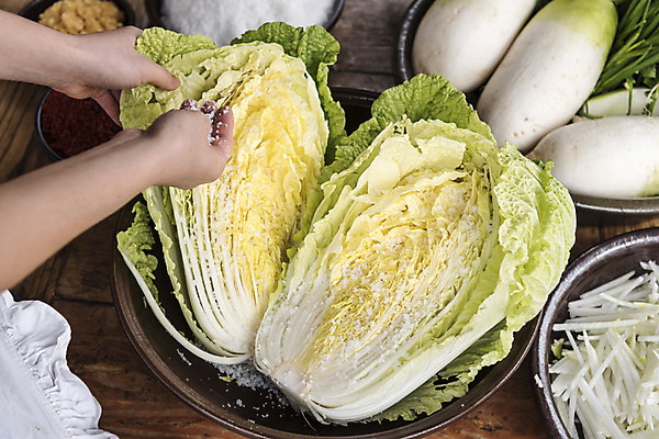 포토 JPG 손 여자 식재료 한명 신체부위 배추 주부 소금 김장 국내포토 1 채소 사람 파일형식