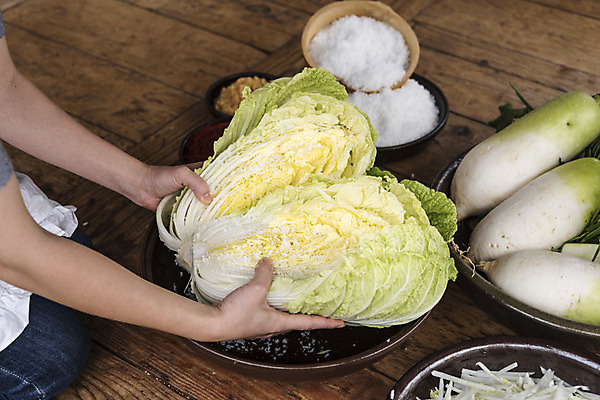 포토 1 채소 뿌리채소 사람 신체부위 파일형식 주부 손 여자 한명 무 소금 배추 JPG 식재료 국내포토