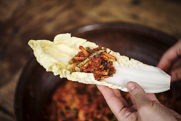 포토 JPG 손 김치 신체부위 배추 주부 발효 김장 발효음식 국내포토 한식 음식 채소 사람 파일형식