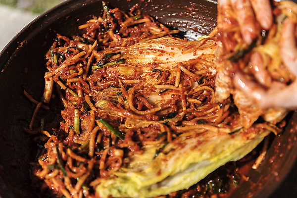 포토 JPG 손 김치 신체부위 배추 주부 발효 김장 발효음식 국내포토 한식 음식 채소 사람 파일형식