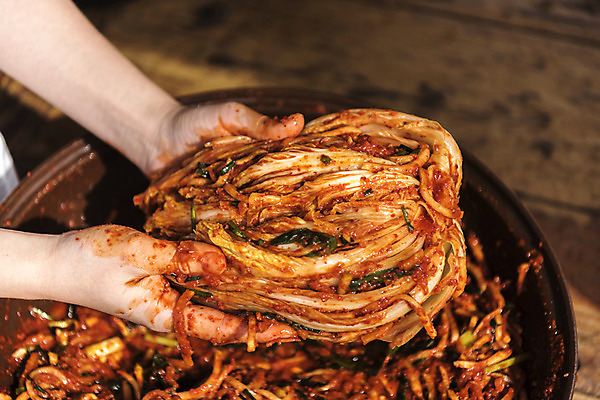 포토 JPG 손 김치 신체부위 배추 주부 발효 김장 발효음식 국내포토 한식 음식 채소 사람 파일형식