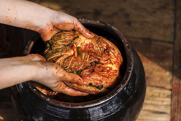 포토 JPG 손 신체부위 항아리 주부 발효 배추김치 김장 발효음식 포기김치 국내포토 음식 김치 사람 도자기 파일형식