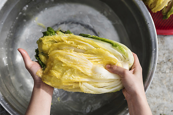 포토 JPG 손 여자 한명 신체부위 물 씻기 배추 주부 김장 대야 절임배추 국내포토 자연요소 1 채소 식재료 사람 청결 파일형식