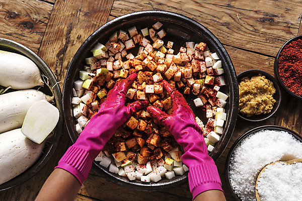 포토 JPG 손 식재료 신체부위 무 깍두기 주부 김장 김장재료 국내포토 김치 뿌리채소 사람 파일형식