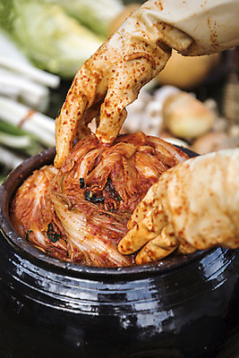 포토 JPG 손 신체부위 항아리 주부 발효 고무장갑 배추김치 김장 발효음식 포기김치 국내포토 음식 장갑 김치 사람 도자기 고무 파일형식