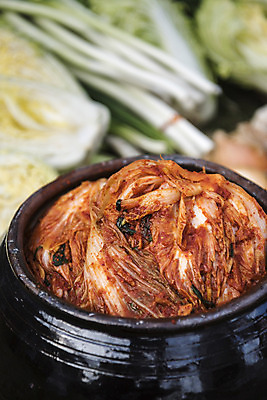 포토 JPG 식재료 사람없음 항아리 발효 배추김치 김장 발효음식 김장재료 포기김치 국내포토 음식 김치 도자기 파일형식