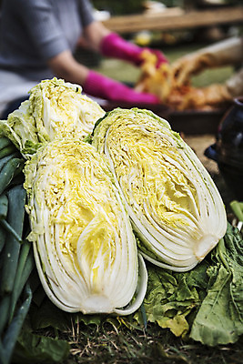 포토 자연요소 채소 식재료 사람 김장 파일형식 김장재료 주간 야외 배추 주부 두명 여자 JPG 국내포토