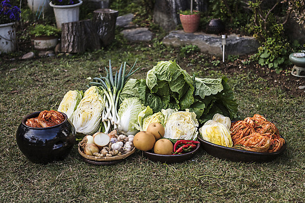 포토 JPG 주간 식재료 고추 양파 김치 마늘 사람없음 야외 정원 배 배추 발효 배추김치 김장 파 발효음식 김장재료 국내포토 자연요소 한식 음식 채소 과일 파일형식