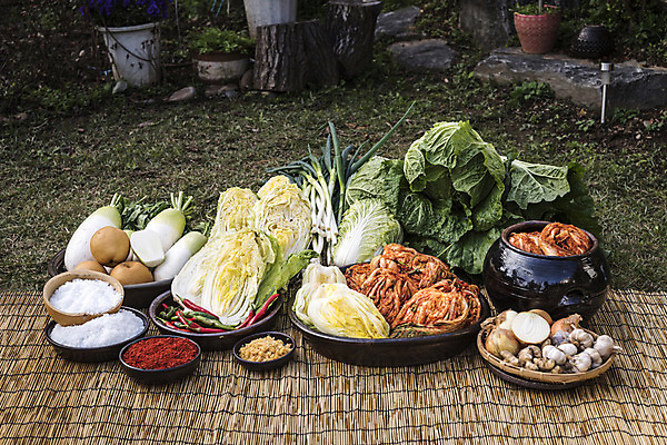 포토 JPG 주간 식재료 고추 양파 김치 마늘 사람없음 야외 정원 항아리 배 무 배추 돗자리 소금 발효 김장 파 발효음식 고춧가루 김장재료 국내포토 자연요소 한식 음식 채소 과일 뿌리채소 도자기 가루 파일형식