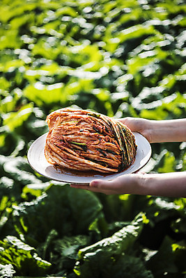 포토 JPG 주간 접시 손 여자 한식 한명 야외 신체부위 여러개 배추 배추김치 배추밭 텃밭 포기김치 한포기 국내포토 자연요소 1 식기 음식 다수 밭 채소 김치 사람 파일형식