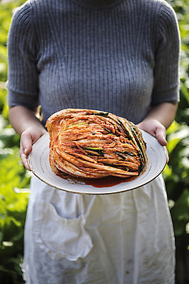 포토 JPG 주간 접시 여자 한식 한명 들기 야외 앞치마 배추 니트 주부 배추김치 포기김치 한포기 국내포토 자연요소 1 식기 음식 상의 채소 모션 김치 사람 파일형식