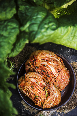 포토 JPG 한식 사람없음 야외 배추 발효 배추김치 배추밭 발효음식 두포기 텃밭 포기김치 국내포토 음식 2 밭 채소 김치 파일형식