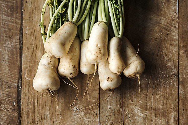 포토 식재료 탁자 실내 무 김장 파일형식 김장재료 나무탁자 스튜디오촬영 사람없음 총각무 JPG 국내포토