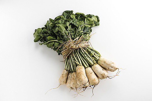 포토 JPG 스튜디오촬영 식재료 실내 사람없음 농작물 여러개 다발 흰배경 총각무 국내포토 다수 백그라운드 농업 내부 흰색 무 파일형식