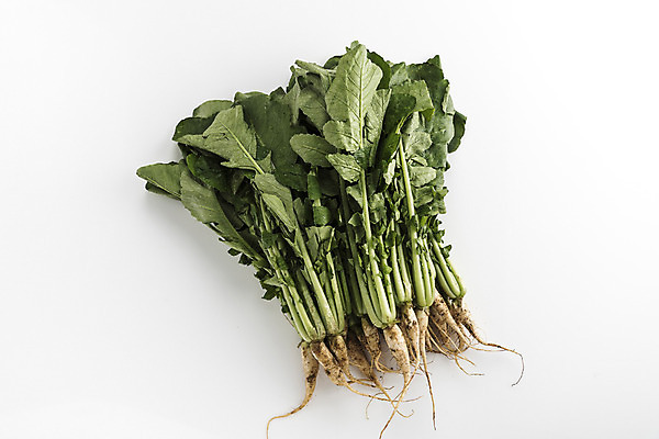 포토 JPG 스튜디오촬영 식재료 실내 사람없음 여러개 흰배경 열무 국내포토 다수 백그라운드 내부 흰색 무 파일형식