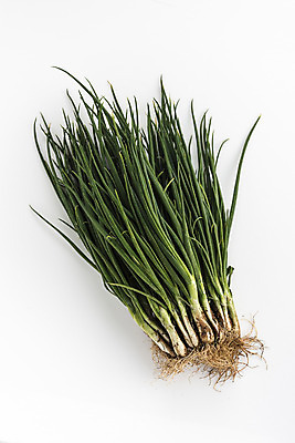 포토 JPG 스튜디오촬영 식재료 실내 사람없음 농작물 여러개 흰배경 대파 파뿌리 국내포토 다수 백그라운드 농업 내부 흰색 뿌리 파 파일형식