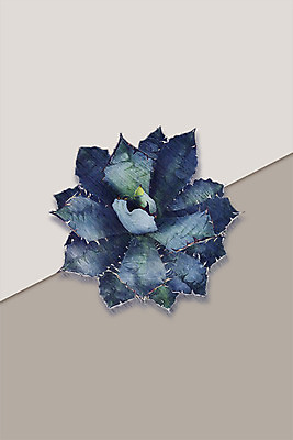 PSD 식물 잎 일러스트 북유럽스타일 사람없음 감성 보테니컬아트 국내일러스트 컨셉 스타일 파일형식