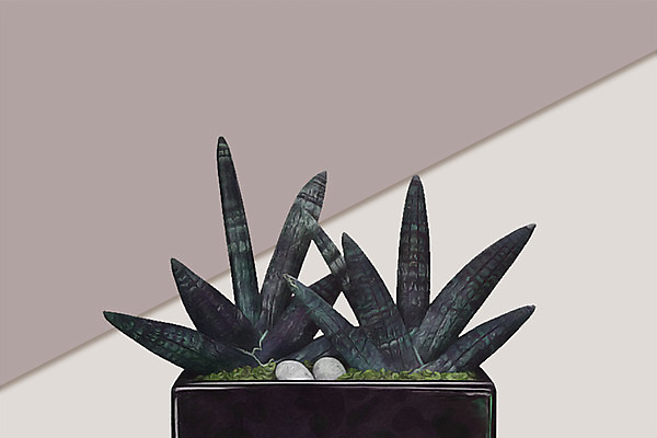 PSD 식물 화분 잎 일러스트 북유럽스타일 사람없음 조약돌 감성 보테니컬아트 국내일러스트 컨셉 돌_바위 스타일 파일형식