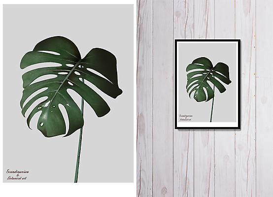 PSD 액자 잎 일러스트 북유럽스타일 사람없음 열대식물 감성 몬스테라 북유럽인테리어 보테니컬아트 국내일러스트 식물 컨셉 스타일 파일형식