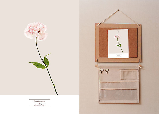 PSD 꽃 액자 일러스트 알림판 북유럽스타일 사람없음 감성 리시안셔스 북유럽인테리어 보테니컬아트 국내일러스트 식물 컨셉 스타일 파일형식