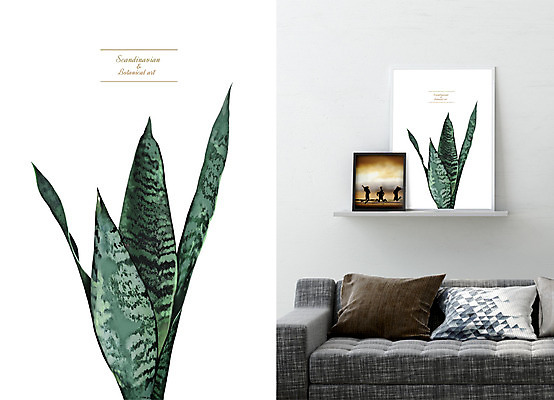 PSD 액자 일러스트 북유럽스타일 사람없음 감성 산세베리아 북유럽인테리어 보테니컬아트 국내일러스트 컨셉 스타일 파일형식