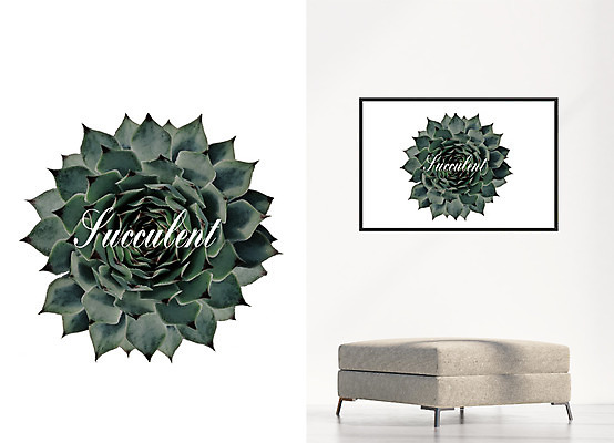 PSD 액자 일러스트 북유럽스타일 사람없음 소파 감성 다육식물 북유럽인테리어 보테니컬아트 국내일러스트 식물 컨셉 의자 스타일 파일형식