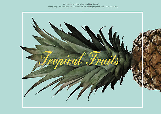 PSD 일러스트 북유럽스타일 사람없음 파인애플 감성 보테니컬아트 트로피컬아트 국내일러스트 컨셉 과일 열대과일 그림 스타일 파일형식