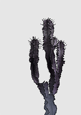 PSD 일러스트 선인장 북유럽스타일 사람없음 감성 보테니컬아트 트로피컬아트 국내일러스트 식물 컨셉 그림 스타일 파일형식