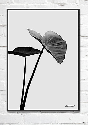 PSD 액자 일러스트 흑백 북유럽스타일 사람없음 연잎 감성 보테니컬아트 국내일러스트 컨셉 잎 촬영기법 스타일 파일형식