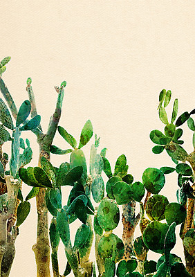 PSD 일러스트 선인장 북유럽스타일 사람없음 감성 보테니컬아트 트로피컬아트 국내일러스트 식물 컨셉 그림 스타일 파일형식