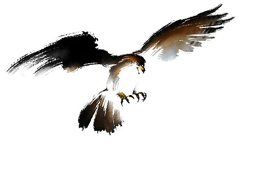 PSD 한마리 일러스트 캘리그라피 붓터치 사람없음 비행 날갯짓 매_조류 국내일러스트 1 조류 파일형식
