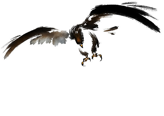 PSD 한마리 일러스트 캘리그라피 붓터치 사람없음 비행 날갯짓 매_조류 국내일러스트 1 조류 파일형식