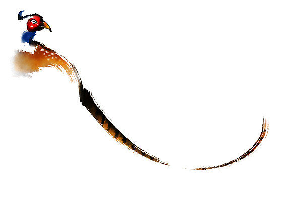 PSD 한마리 일러스트 캘리그라피 붓터치 사람없음 꿩 국내일러스트 1 조류 파일형식