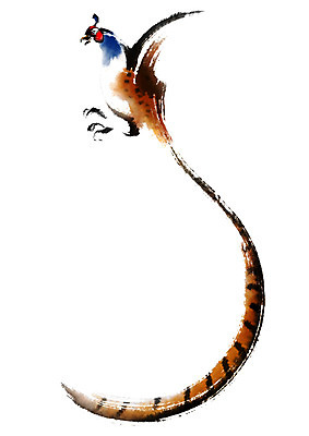 PSD 한마리 일러스트 캘리그라피 붓터치 사람없음 꿩 국내일러스트 1 조류 파일형식