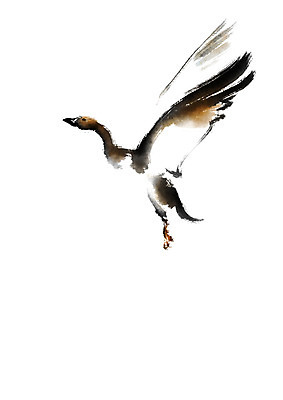 PSD 한마리 일러스트 캘리그라피 붓터치 사람없음 거위 날갯짓 국내일러스트 1 조류 파일형식