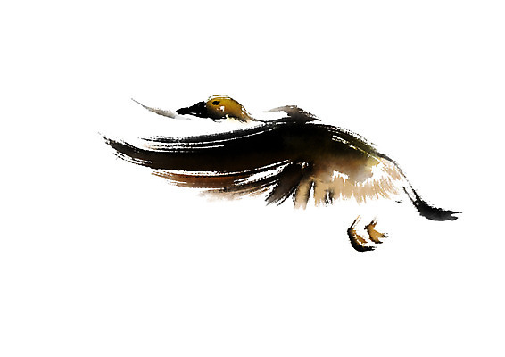 PSD 한마리 일러스트 캘리그라피 붓터치 사람없음 거위 날갯짓 국내일러스트 1 조류 파일형식