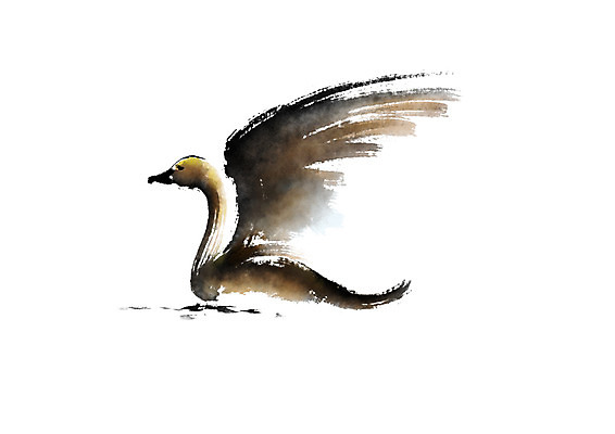 PSD 한마리 일러스트 캘리그라피 조류 붓터치 사람없음 거위 국내일러스트 동물 1 파일형식